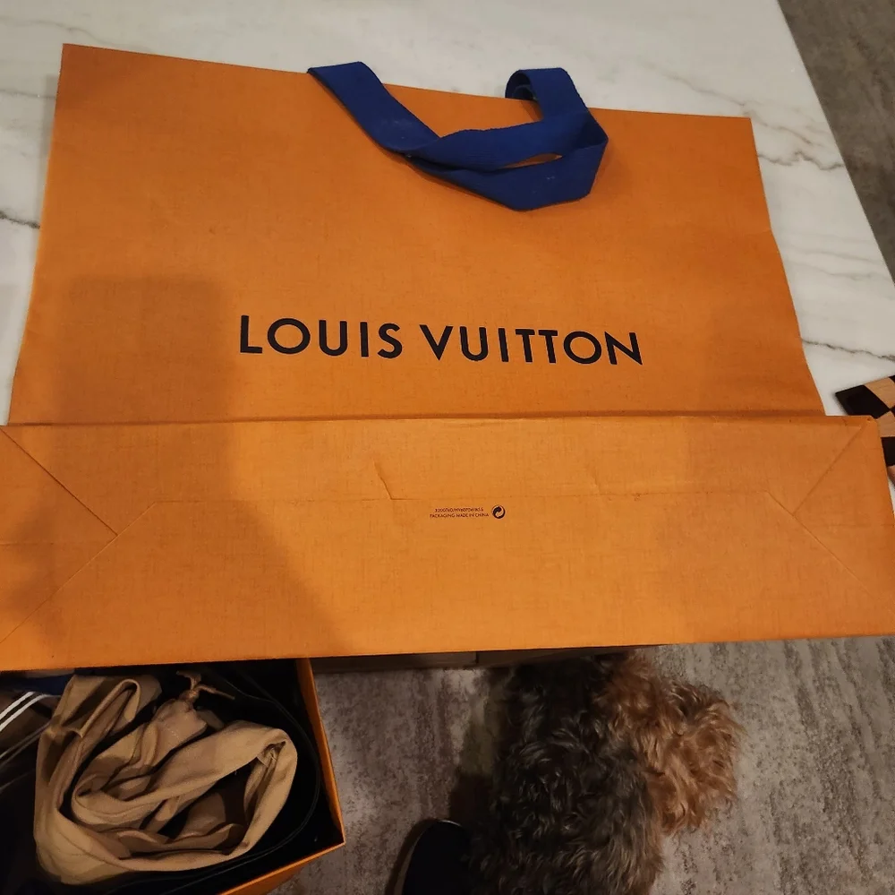 Louis Vuitton Orange Branded Bag